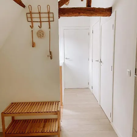 Cozy